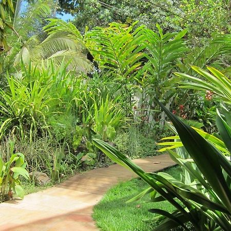 Pousada Coqueiro Verde Итакаре Экстерьер фото